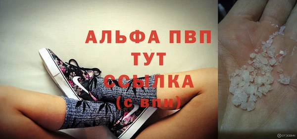 сатива Белоозёрский