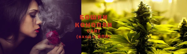 прущие крисы Беломорск
