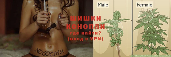 гашиш Белокуриха
