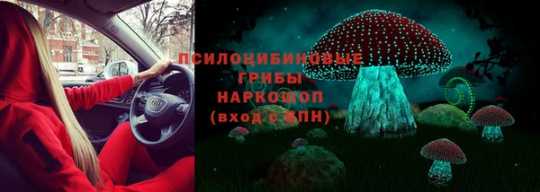 сатива Белоозёрский